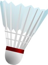 Badminton volant PNG image 图片
