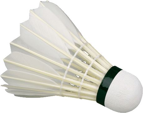 Badminton volant PNG image 图片编号:10432