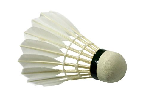 Badminton volant PNG image 图片编号:10446