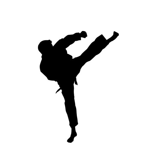 Karate siluete PNG免抠图透明素材 16设计网编号:55572