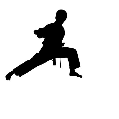 Karate siluete PNG免抠图透明素材 素材天下编号:55574