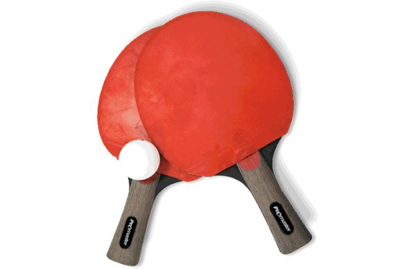 乒乓球拍PNG透明背景免抠图元素 16图库网编号:10362