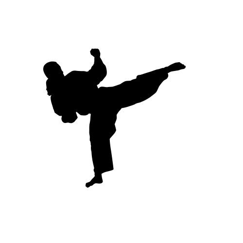 跆拳道PNG透明背景免抠图元素 16图库网编号:70215