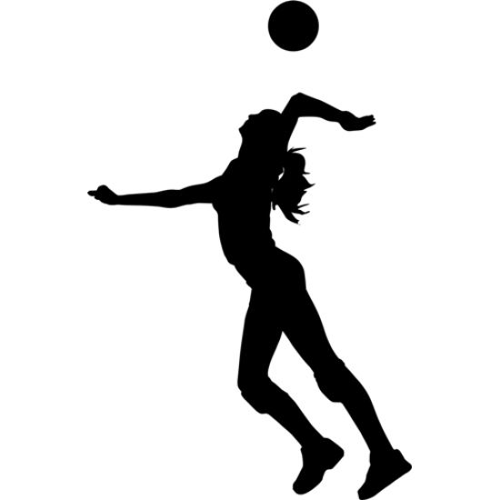 排球 PNG透明背景免抠图元素 16图库网编号:26427