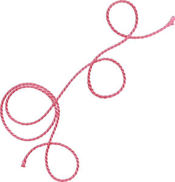 绳子 PNG透明背景免抠图元素 16图