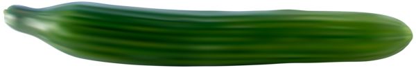 很长的黄瓜PNG透明背景免抠图元素 素材中国编号:84288