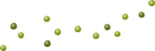 豌豆 PNG免抠图透明素材 16设计网编号:24296