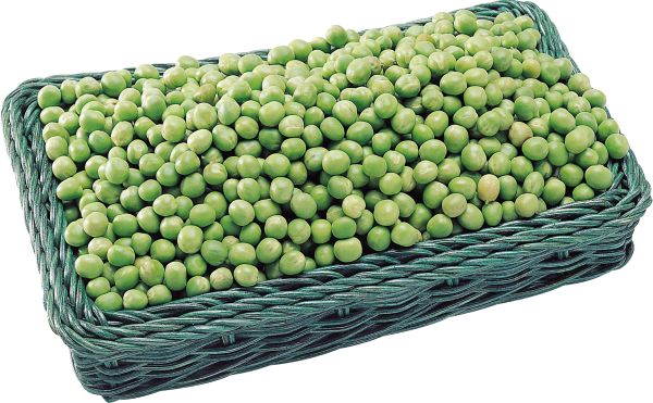 豌豆 PNG免抠图透明素材 素材中国编号:24326