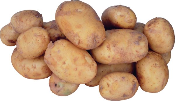 很多土豆PNG透明元素免抠图素材 16素材网编号:98069