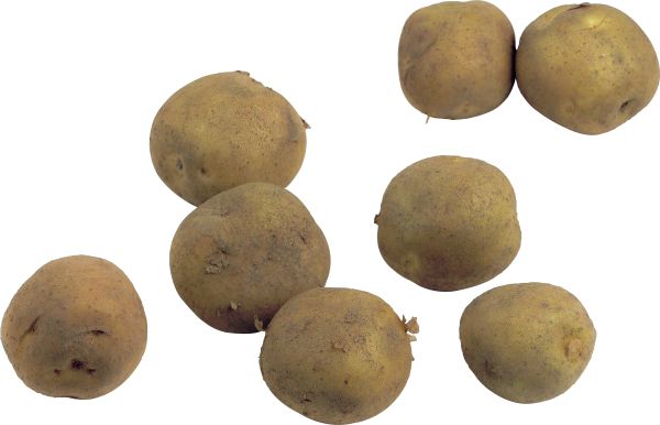 土豆PNG透明背景 图片编号:98075