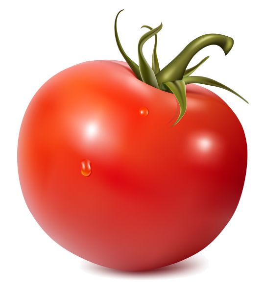 番茄 PNG透明背景免抠图元素 素材中国编号:12510