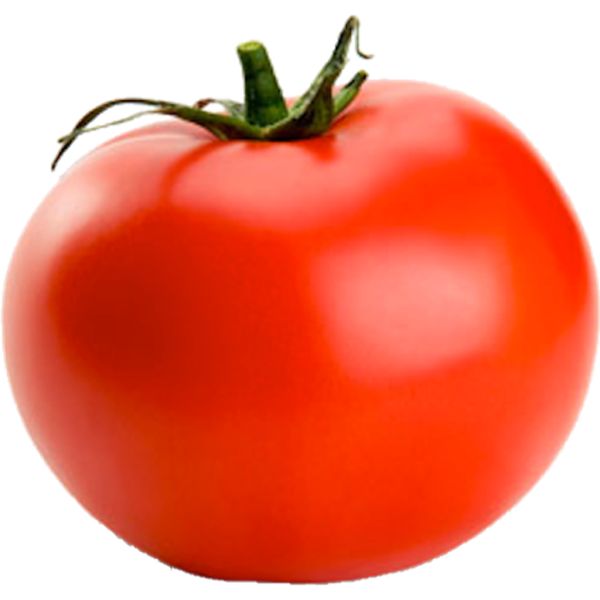 番茄 PNG透明背景免抠图元素 素材