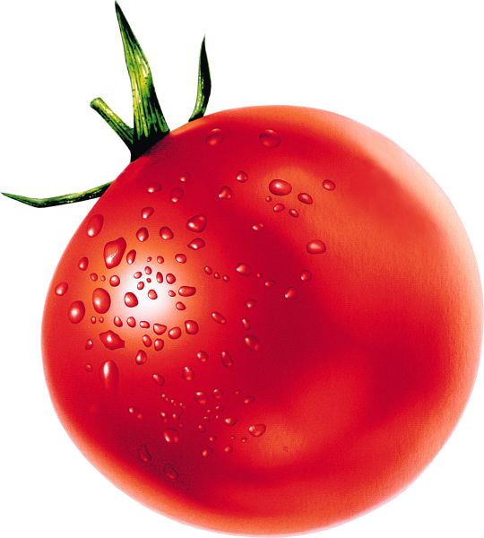 番茄 PNG透明背景免抠图元素 素材中国编号:12512
