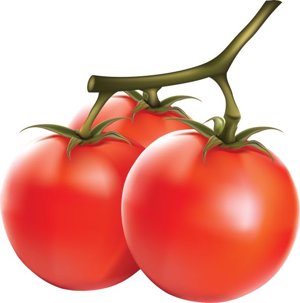番茄 PNG透明背景免抠图元素 16图库网编号:12515