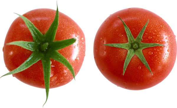 番茄 PNG免抠图透明素材 素材天下编号:12518