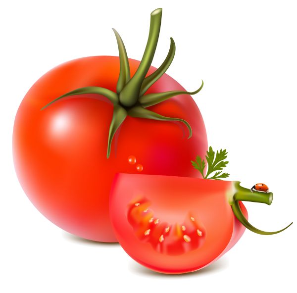 番茄 PNG透明背景免抠图元素 16图库网编号:12521