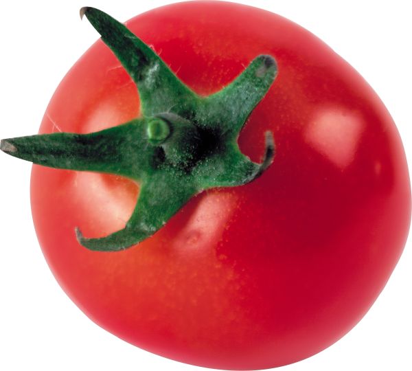 番茄 PNG免抠图透明素材 素材天下编号:12522