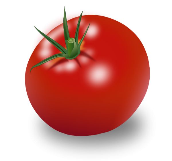 番茄 PNG透明背景免抠图元素 素材中国编号:12530