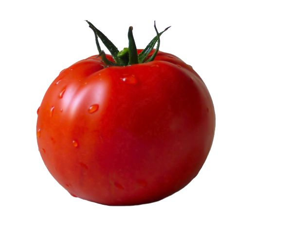 番茄 PNG免抠图透明素材 素材中国