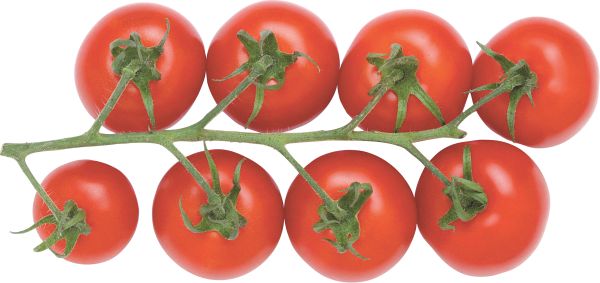 西红柿樱桃PNG透明背景免抠图元素 16图库网编号:12536