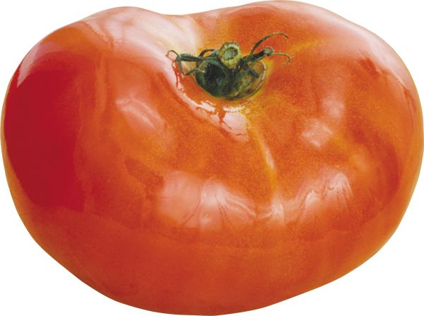 番茄 PNG透明背景免抠图元素 16图库网编号:12538