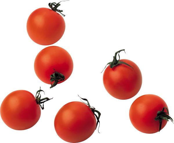 樱桃番茄 PNG免抠图透明素材 16设