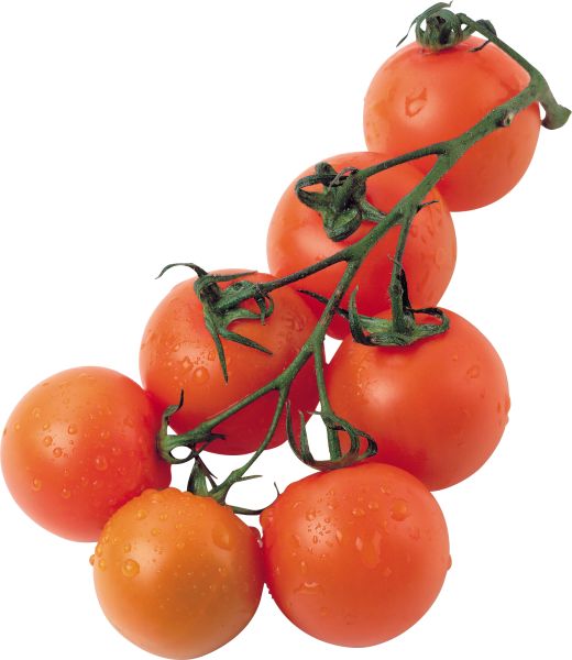 樱桃番茄 PNG透明背景免抠图元素 1