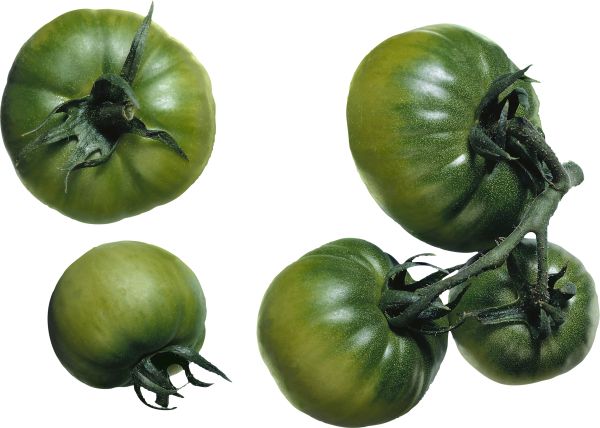 绿色西红柿PNG免抠图透明素材 16设计网编号:12545