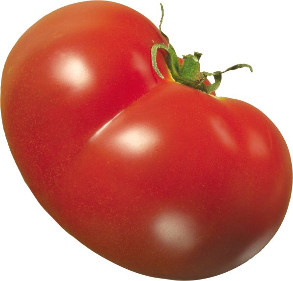 番茄PNG免抠图透明素材 16设计网编号:12546