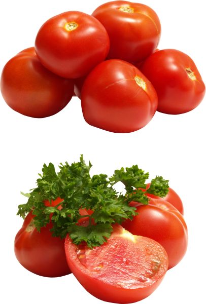 5个西红柿PNG透明元素免抠图素材 16素材网编号:12548