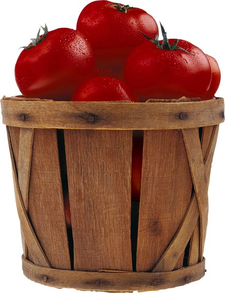 桶里的西红柿 PNG透明背景免抠图元素 素材中国编号:12556