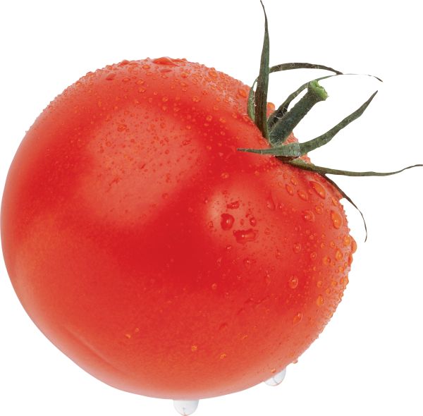 番茄大红色PNG透明背景免抠图元素 16图库网编号:12557