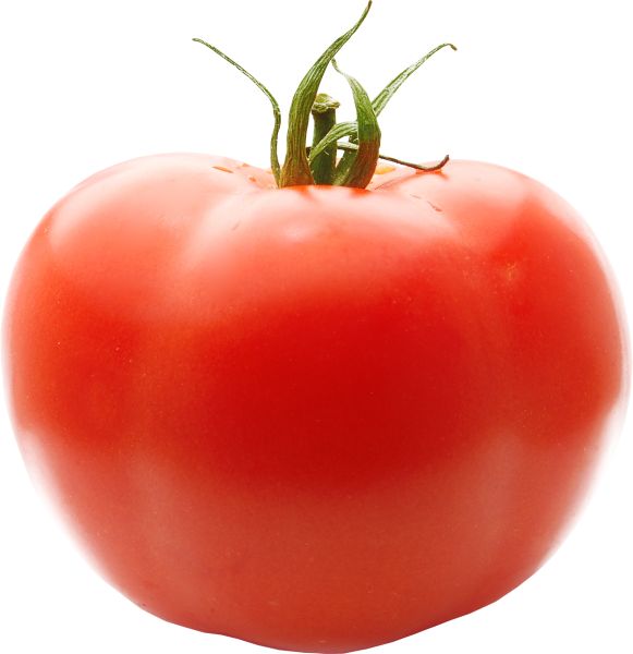 大红番茄 PNG透明背景免抠图元素 16图库网编号:12570