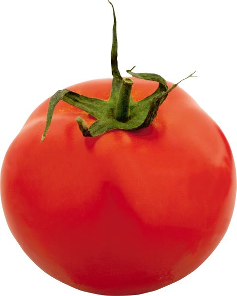 番茄 PNG透明背景免抠图元素 16图库网编号:12576