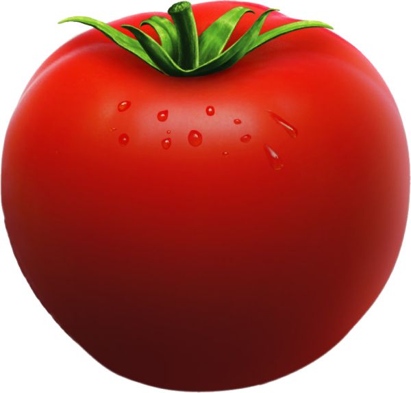 番茄PNG透明元素免抠图素材 16素材网编号:12591