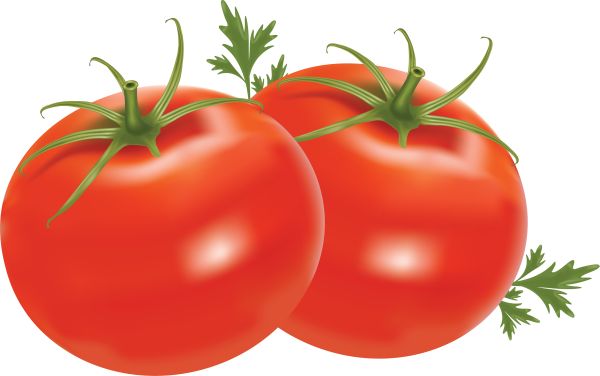 两个带叶子的西红柿 PNG透明元素免