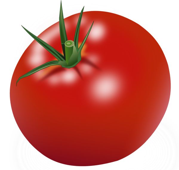 红色大番茄 PNG透明元素免抠图素材 16素材网编号:12595